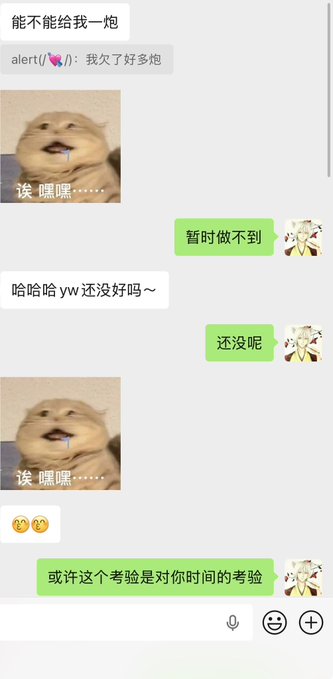 The image shows a cell phone screen displaying multiple chat messages with different languages written on them. The messages include photos of cats, along with emojis and text in various languages such as Chinese and English. One message stands out from the rest, featuring a cat photo and an exclamation mark. The context behind these messages is unclear, but they seem to be related to personal matters or discussions among friends.