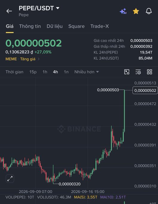 A Binance cryptocurrency price chart for PEPE/USDT showing a price of 0,00000502 with a +27.09% gain on September 22.