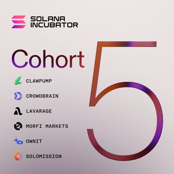 Promotional graphic for 'SOLANA INCUBATOR Cohort 5' listing the cohort's companies: CLAWPUMP, CROWDBRAIN, LAVARAGE, MORFI MARKETS, OWNIT, and SOLOMISSION, with a large stylized '5' on the right.