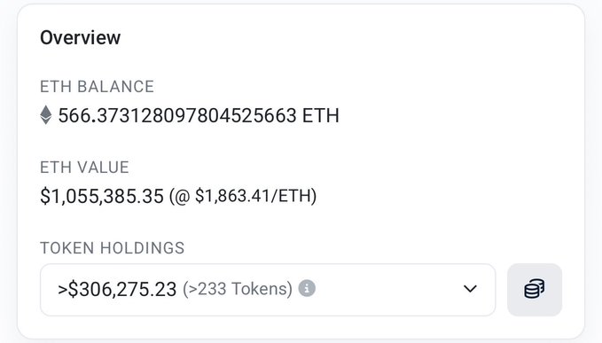 Cryptocurrency wallet overview showing an ETH balance of 566.373128097804525663 ETH, an ETH value of $1,055,385.35 (@ $1,863.41/ETH), and token holdings greater than $306,275.23 across >233 tokens.