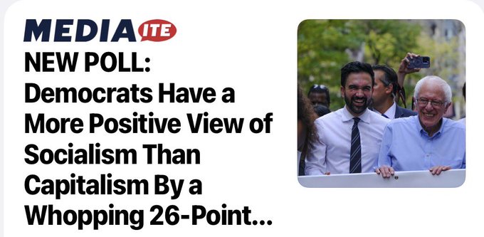 The image is a Mediaite headline reading "NEW POLL: Democrats Have a More Positive View of Socialism Than Capitalism By a Whopping 26-Point..." alongside a photo of two smiling men, one of whom appears to be Bernie Sanders. The image supports the post's warning by visually illustrating the growing acceptance of socialism within the Democratic Party, reinforcing the user's caution about a potential "DSA takeover" and its implications for investment portfolios and lifestyle.