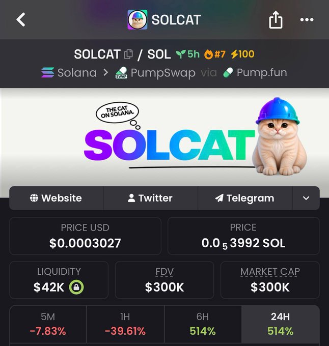 A Screenshot showing the SOLCAT memecoin page on Solana via PumpSwap/Pump.fun, displaying a price of $0.0003027, $42K liquidity, $300K market cap, and 514% gains over 6H/24H, aligning with the post's bullish claim that Solana's cat meta memecoin could see significant upside similar to $CASHCAT and $BASECAT.