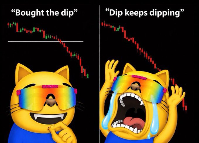 A two-panel meme featuring a cat emoji with rainbow visor, captioned 'Bought the dip' (smiling) and 'Dip keeps dipping' (crying) against descending stock chart backgrounds.