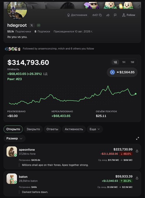 A crypto tracking profile for user 'hdegroot' showing a portfolio value of $314,793.60 (+26.39%), including holdings in apeonefone ($223,730.99) and baton ($59,933.39), displayed in Russian.
