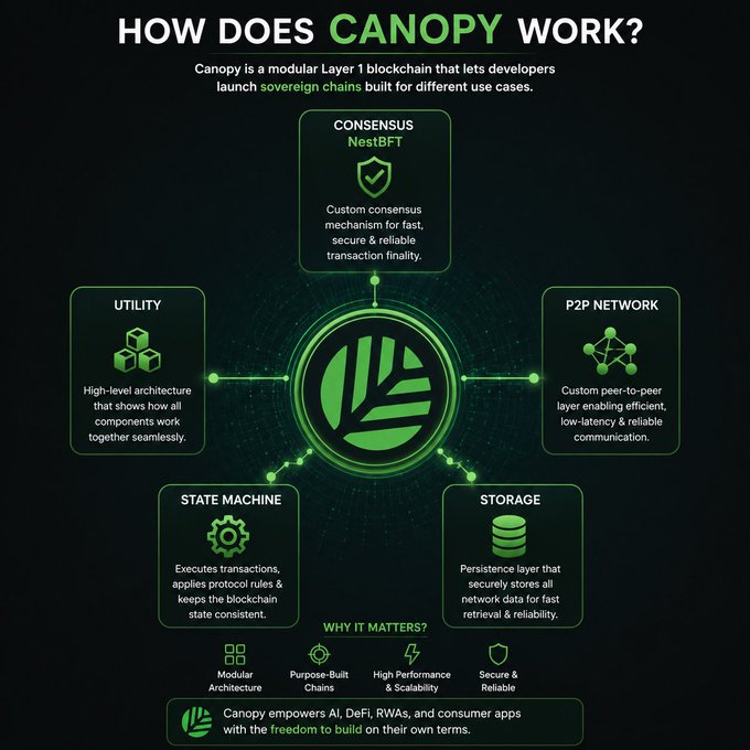 An infographic titled "HOW DOES CANOPY WORK?" explains that Canopy is a modular Layer 1 blockchain for launching sovereign chains, breaking down its architecture into five components: NestBFT Consensus, P2P Network, Storage, State Machine, and Utility. The graphic highlights key benefits like modular architecture, purpose-built chains, high performance, and security, complementing the post's emphasis on how Canopy separates its blockchain stack beyond just focusing on TPS.