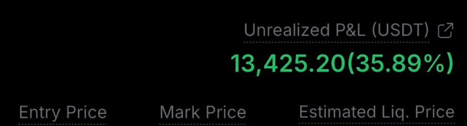 A trading interface displays an Unrealized P&L of 13,425.20 (35.89%) in USDT, with columns for Entry Price, Mark Price, and Estimated Liquidation Price.