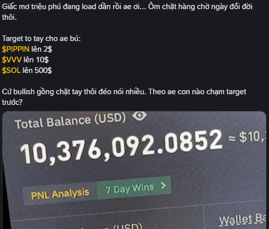 A screenshot from a crypto chat showing someone setting ambitious price targets—$PIPPIN to $2, $VVV to $10, and $SOL to $500—alongside a wallet balance image displaying roughly $10,376,092 in USD, illustrating the poster's claim of massive holdings.
