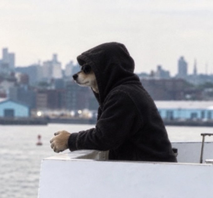 A Shiba Inu dog wearing a black hoodie leans contemplatively against a white ledge on a boat, gazing out at an urban waterfront with a hazy city skyline in the background, perfectly capturing the chill, reflective vibe of a "gm" (good morning) greeting.