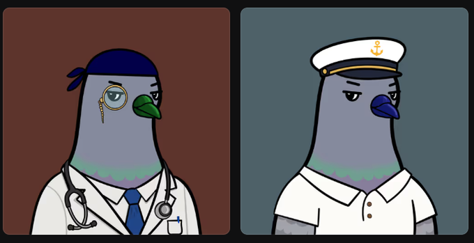 Two side-by-side illustrations of a pigeon character: on the left dressed as a doctor with a monocle and stethoscope, and on the right dressed as a ship captain.