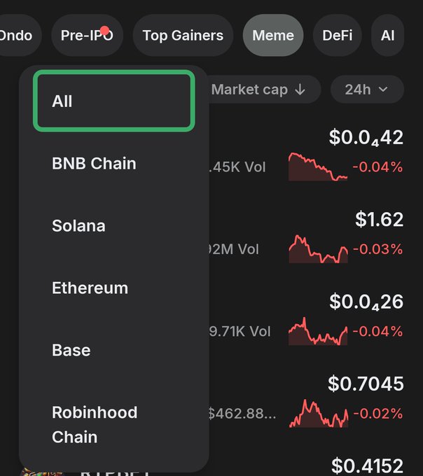 A screenshot of a cryptocurrency interface showing a "Meme" category with a filter menu highlighted. The menu lists "All" (selected), "BNB Chain," "Solana," "Ethereum," "Base," and "Robinhood Chain," illustrating the wallet's multi-chain support.