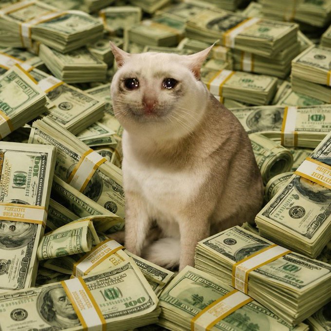 A cat with watery eyes sits surrounded by stacks of $100 bills bound with "100 DOLLARS" currency straps, visually embodying the "bagworker" and "$CASHCAT" reference in the post.