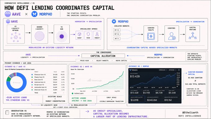 This infographic by Ethena Labs compares DeFi lending protocols Aave and Morpho, showing Aave's traditional "Liquidity → Specialization" approach (with ~$310B in active loans and 79% market composition) versus Morpho's inverted "Specialization → Combination" model (with $13.42B TVL, $246.8M daily volume, and $10.1M revenue). The image supports the post's thesis by visually demonstrating how Morpho coordinates capital across specialized markets—acting as credit specialists rather than competing directly on liquidity aggregation—signaling a shift where lending infrastructure moves beyond simply accumulating TVL.