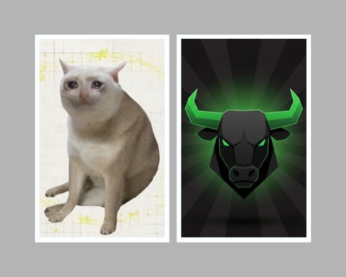 Side-by-side comparison: a white and tan cat on a grid background next to a green and black bull logo, implying the cat resembles the mascot.