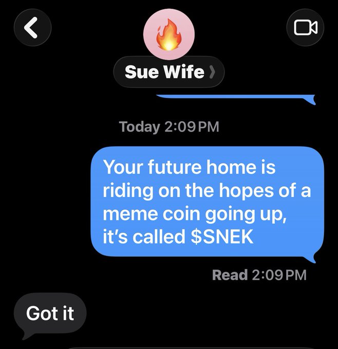 A text message conversation from "Sue Wife" reads: "Your future home is riding on the hopes of a meme coin going up, it's called $SNEK," with a reply of "Got it." The image humorously illustrates the post's sentiment about the SNEK meme coin fueling hopes for homeownership.