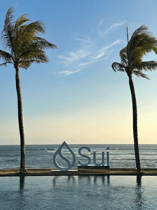 The image features a large, white sign that reads "Sui Summer", which appears to be located near a pool or beach area. There are two palm trees standing next to each other, with one tree being taller than the other. The sky above is blue and clear, indicating a sunny day.