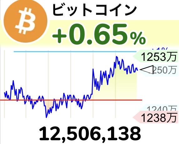A Bitcoin price chart showing Bitcoin up 0.65% at ¥12,506,138 (12,506,138), trading between support at ¥12,380,000 and resistance near ¥12,530,000. The image complements the post's commentary about Bitcoin being "lifeless" over the weekend—while the chart shows a slight gain, the price action reflects the flat, low-energy trading described.
