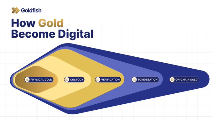 A Goldfish infographic titled 'How Gold Become Digital' showing a process flow from Physical Gold to Custody, Verification, Tokenization, and finally On-Chain Gold.