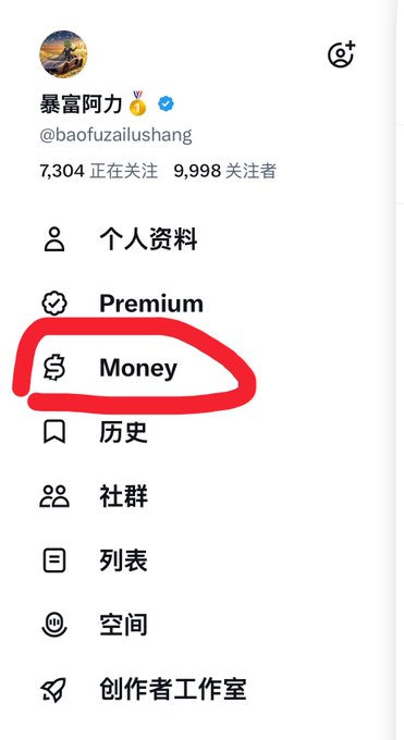 A screenshot of the X (formerly Twitter) profile sidebar for user "暴富阿力" (@baofuzailushang), with the "Money" tab circled in red. The image highlights the platform's recently introduced Money tab, tying into the poster's excitement about finally gaining access to the X Money feature.