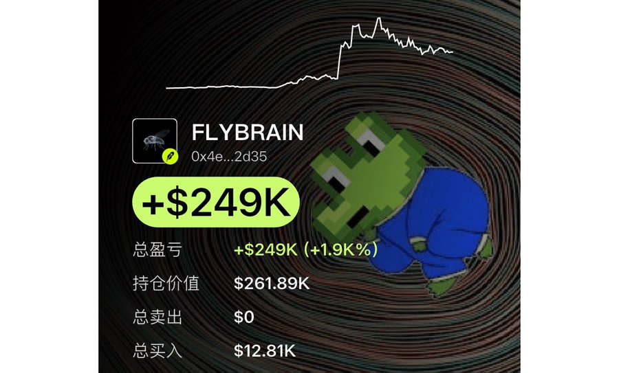 The image displays a wallet profile for "FLYBRAIN" (0x4e...2d35) showing total P&L of +$249K (+1.9K%), with holdings valued at $261.89K, $0 in sales, and $12.81K in total buys, set against a dark background featuring a line chart trending upward and a pixelated Pepe-style frog character. The image visualizes the post's claim of a mysterious wallet achieving over 19x gains on the $FLYBRAIN token.