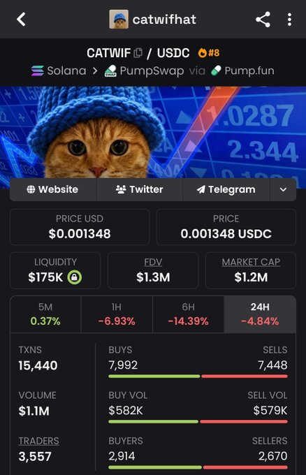 A cryptocurrency tracking page for 'CATWIFHAT' (CATWIF/USDC) on Solana via PumpSwap, showing a price of $0.001348 and a market cap of $1.2M.