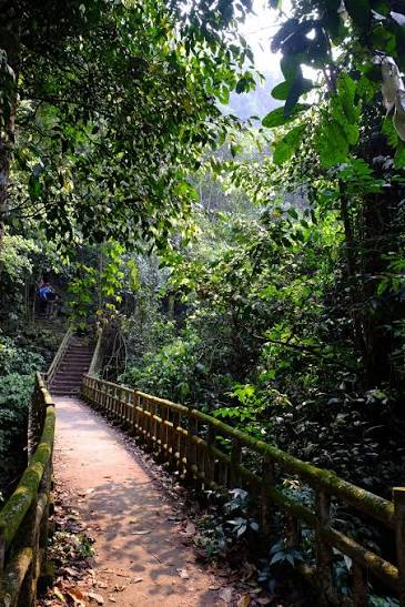 The image shows a wooden walkway or bridge, surrounded by trees and foliage. The path appears to be made of wood and has railings along its sides for safety. There are two people visible near the middle of the scene, possibly enjoying their time exploring the area. The overall atmosphere seems serene and peaceful, with nature as the main focus.