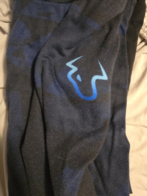 A close-up photo of a dark gray and navy blue sports jersey or athletic shirt featuring a light blue stylized animal head logo.