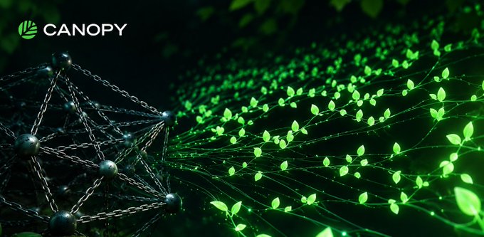 Canopy brand banner showing a dark, futuristic scene with metallic spherical nodes connected by chains transitioning into glowing green digital leaves and vines.