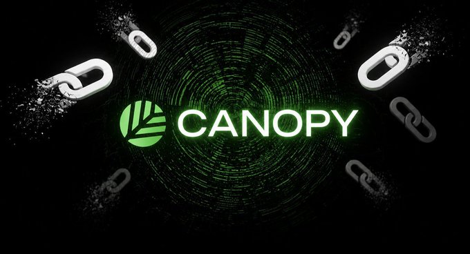 A digital graphic shows the word 'CANOPY' in white next to a green leaf logo against a dark green background with shattering chain links.