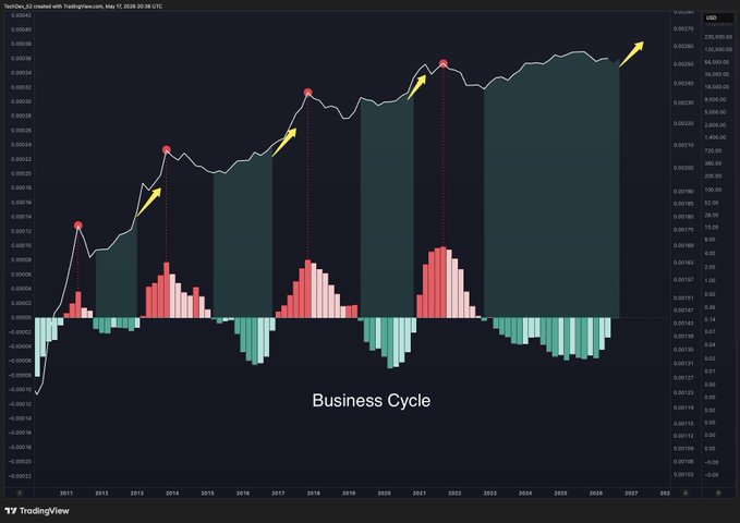 A TradingView chart labeled 'Business Cycle' showing a long-term Bitcoin indicator (BTC_USD) from 2011 to 2026 with a line graph and histogram components.