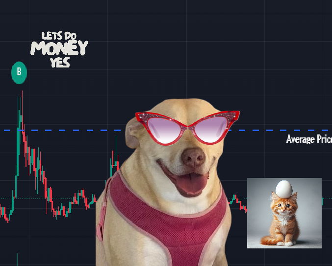 A chihuahua wearing pink cat-eye sunglasses and a pink harness smiles in front of a candlestick chart, with a small orange kitten balancing an egg on its head in the lower right corner. The text "LETS DO MONEY YES" appears in the upper left, alongside a price chart marking "Average Price" and a "B" label.