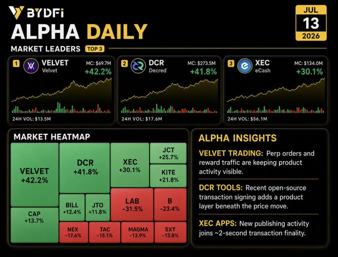 The image is a "BYDFi Alpha Daily" dashboard dated July 13, 2026, highlighting the top 3 market leaders: Velvet (VELVET, +42.2%, MC: $69.7M, 24H VOL: $13.5M), Decred (DCR, +41.8%, MC: $273.5M, 24H VOL: $17.6M), and eCash (XEC, +30.1%, MC: $134.0M, 24H VOL: $56.1M), each with a candlestick chart and a market heatmap showing notable losers like LAB (-31.5%) and B (-23.4%). 

The "Alpha Insights" panel reinforces the post's theme by explaining VELVET's gain is tied to perpetual orders and reward traffic, DCR's rise follows an open-source transaction signing update, and XEC is up on new publishing activity and ~