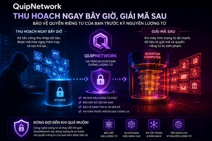 A Vietnamese promotional graphic for QuipNetwork titled 'THU HOẠCH NGAY BẤY GIỜ, GIẢI MÃ SAU' (Harvest Now, Decrypt Later), illustrating quantum computing threats with QUANTUM COMPUTER, STORED, and QUIPNETWORK elements.