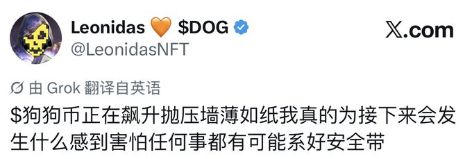 The image shows a screenshot of a tweet from verified user @LeonidasNFT, translated from English by Grok, stating in Chinese that "$DOG is soaring and the walls are paper-thin, I'm really scared about what happens next, buckle up for anything." The post relates to the accompanying text by showing LeonidasNFT, the founder of $DOG, expressing concern about the rapid price surge after $DOG overtook both $BOME and $ORDI.