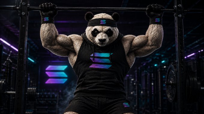 A muscular anthropomorphic panda wearing a black tank top with a purple-to-cyan gradient "Solana" logo performs a pull-up in a neon-lit gym, with matching Solana branding visible on its headband, wrist wraps, and shorts. The image reinforces the post's message about building strength through repetition, symbolizing disciplined crypto training in the Solana ecosystem.