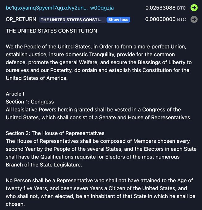 The image features a screenshot of the Bitcoin blockchain, displaying various Bitcoin addresses as well as portions of the United States Constitution. The text within the image suggests that someone has published the entire U.S. Constitution onto the Bitcoin blockchain using Bitcoin transactions. This action would be considered illegal in most countries and could lead to severe consequences for anyone involved in this activity.