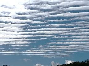 A photograph of a blue sky filled with a layer of textured, altocumulus clouds stretching over a dark horizon.
