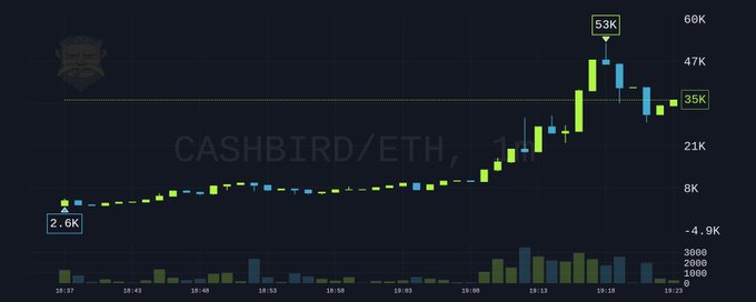 A candlestick price chart of CASHBIRD/ETH showing a sharp rally from 2.6K to a peak of 53K before settling around 35K, with the post's text warning of high volatility ("can go to 0") while the author plans to hold and watch for buying opportunities during dips.