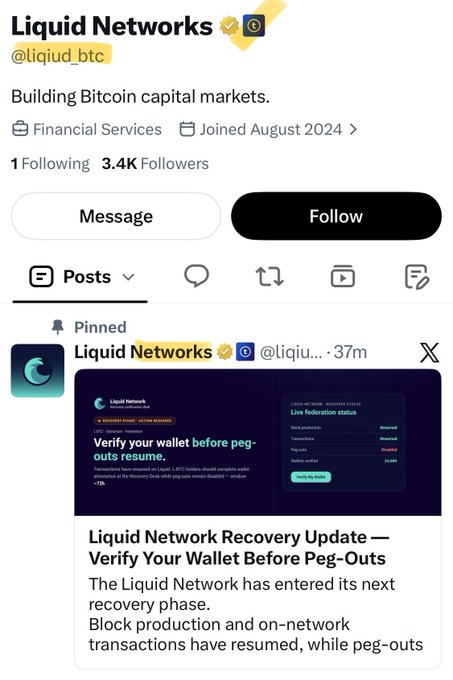 A screenshot of the official Liquid Networks (@liquid.btc) Twitter/X profile, which has 3.4K followers and is labeled as a Financial Services account, showing a pinned post titled "Liquid Network Recovery Update — Verify Your Wallet Before Peg-Outs" warning users about a wallet verification process during the network's recovery phase. The image relates to the caption's caution by displaying the authentic account so users can identify the legitimate @liquid.btc handle and avoid being deceived by impersonators or scam accounts.