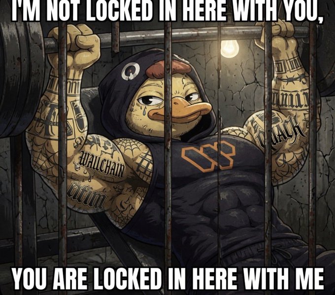 The image features a cartoon duck with tattoos, wearing a hoodie and lifting weights at a gym. Below the duck's head, there is text that reads "I'm not locked in here with you." The text also includes the hashtag "#wallchain".