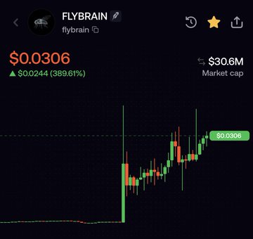 A cryptocurrency chart for 'FLYBRAIN' (flybrain) shows a price of $0.0306, up $0.0244 (389.61%), with a market cap of $30.6M.