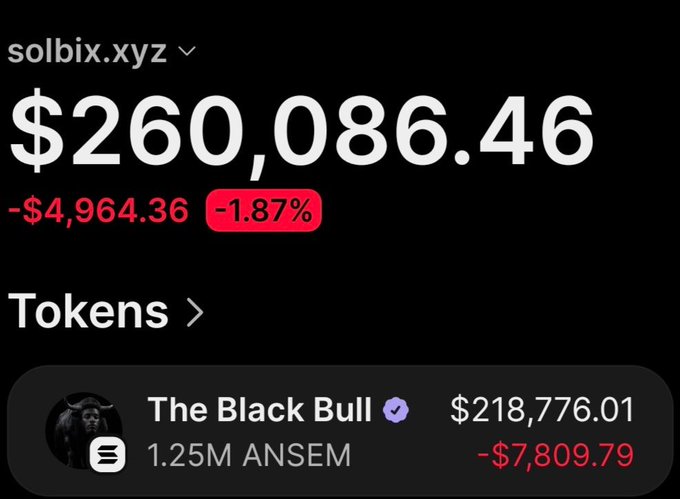 A crypto wallet tracker screenshot for solbix.xyz showing a portfolio value of $260,086.46 (down -1.87% / -$4,964.36), with the top token holding being "The Black Bull" (ANSEM), 1.25M units valued at $218,776.01, down $7,809.79 — visually confirming the wallet's approximately $219,600 remaining ANSEM position as referenced in the post about turning $7,720 into ~59x gains.