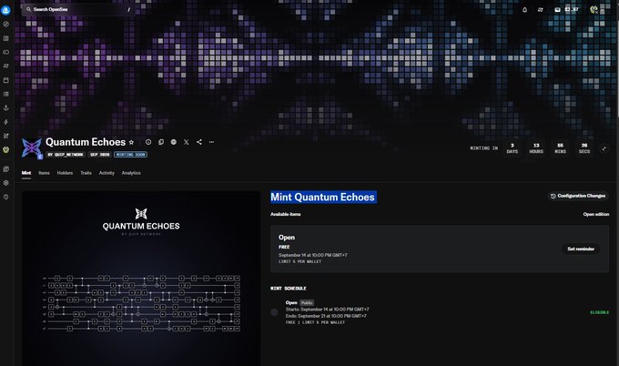 A screenshot of a webpage for 'Quantum Echoes' showing a cryptocurrency or NFT minting interface with quantum network diagrams and mint schedule details.