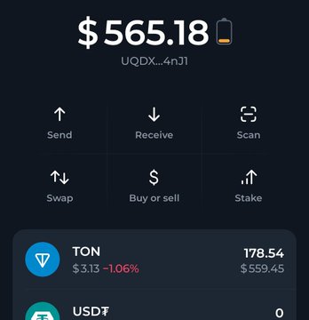 A cryptocurrency wallet interface displaying a balance of $565.18 with options to Send, Receive, Scan, Swap, Buy or sell, and Stake. Below, token holdings are shown including TON (178.54, $559.45, -1.06%) and USDT (0).