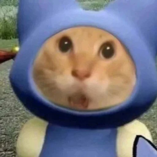 A meme showing a wide-eyed cat's face poking through the face hole of a blue cartoon costume figure, with its eyes wide open.
