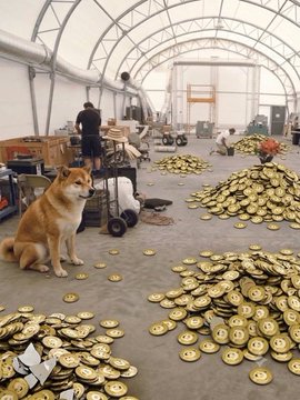 An orange cat sits in a warehouse-like structure surrounded by piles of gold coins scattered across the floor, with people working in the background.
