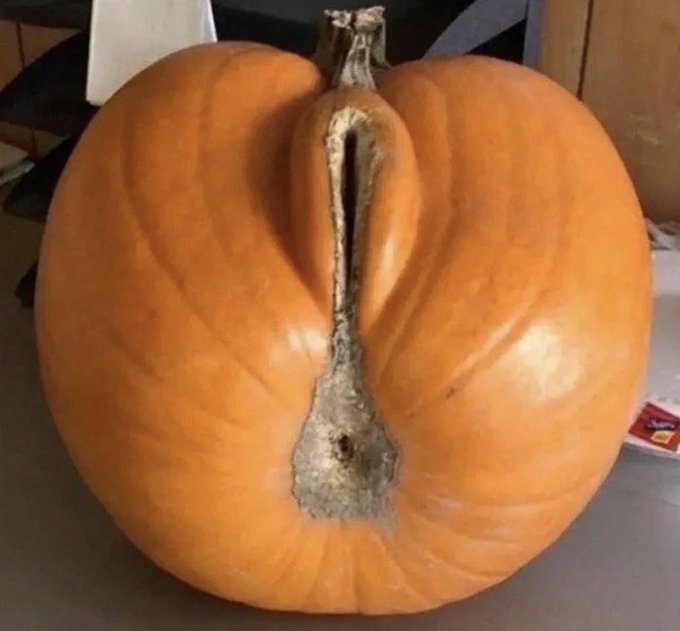 A large orange pumpkin sits on a counter, featuring a narrow slit that resembles an unsettling facial feature.