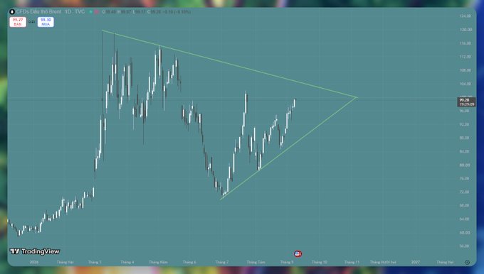 TradingView daily candlestick chart for Tesla (TSDA) on TVC with a green symmetrical triangle pattern drawn over the price action showing consolidation, with current price around 95.28.