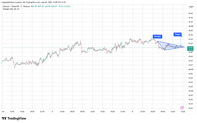 A TradingView chart of Litecoin (LTCUSDT) showing a symmetrical triangle pattern with 'Triangle' and 'Target' annotations pointing upward on the 5-minute timeframe, with price at 44.99.