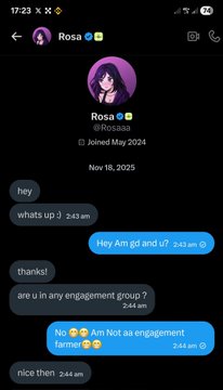 A Telegram chat screenshot with user 'Rosa' (@Rossa) from November 18, 2025, showing a conversation where she is asked about engagement groups and responds 'No 😊 Not as an engagement Farmer 😂'.