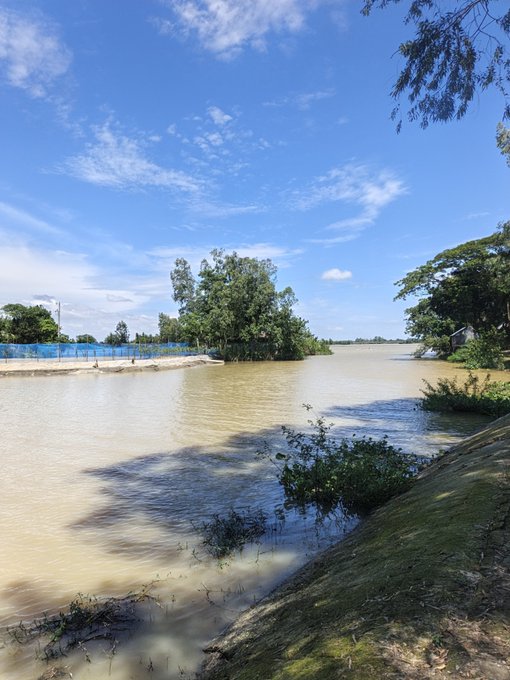 A scenic view of a muddy brown river or flooded area bordered by green trees and grass under a blue sky with scattered clouds.